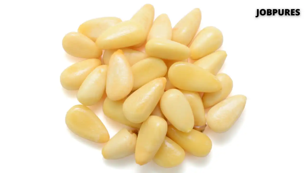 Pine Nuts/Neze Spice Name in Hindi and English