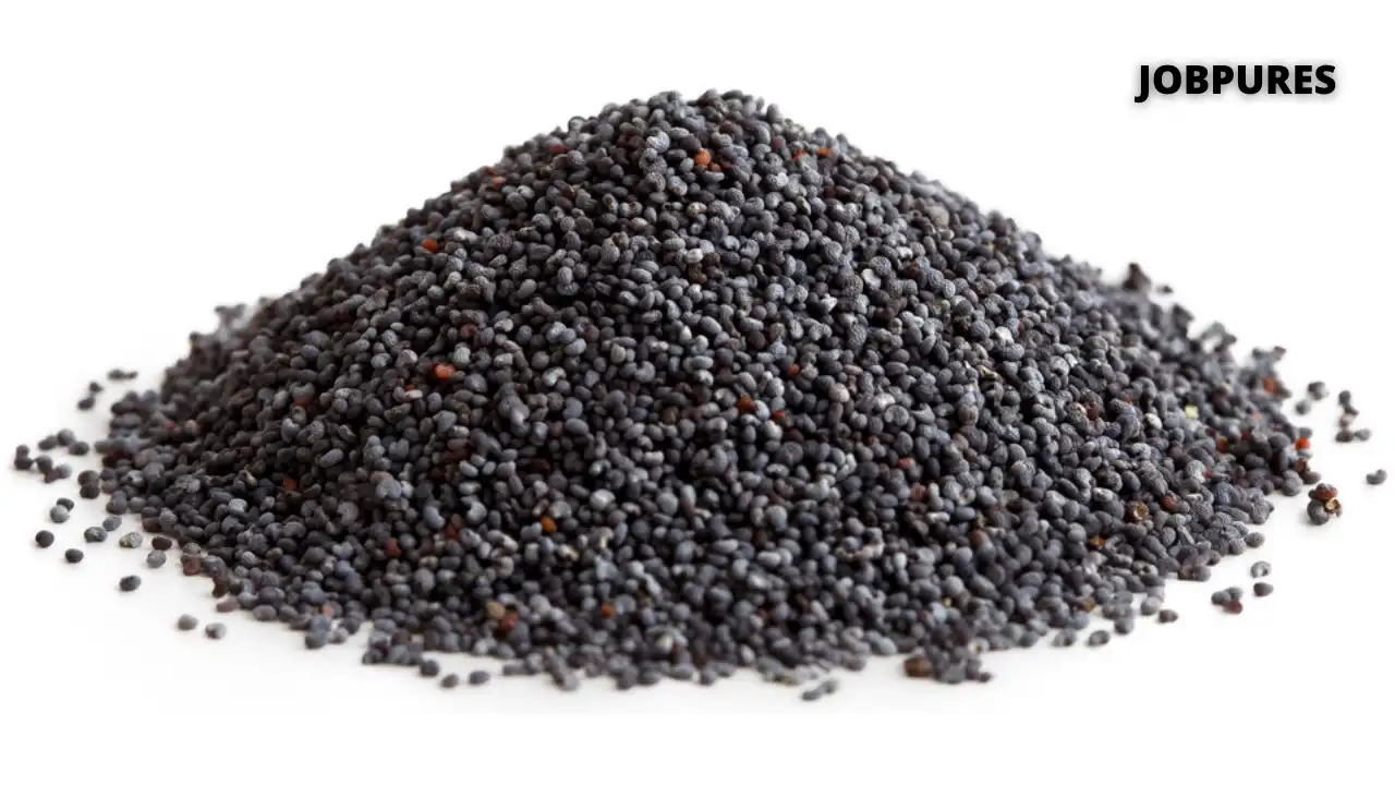 Poppy Seeds Spice Name in Hindi and English