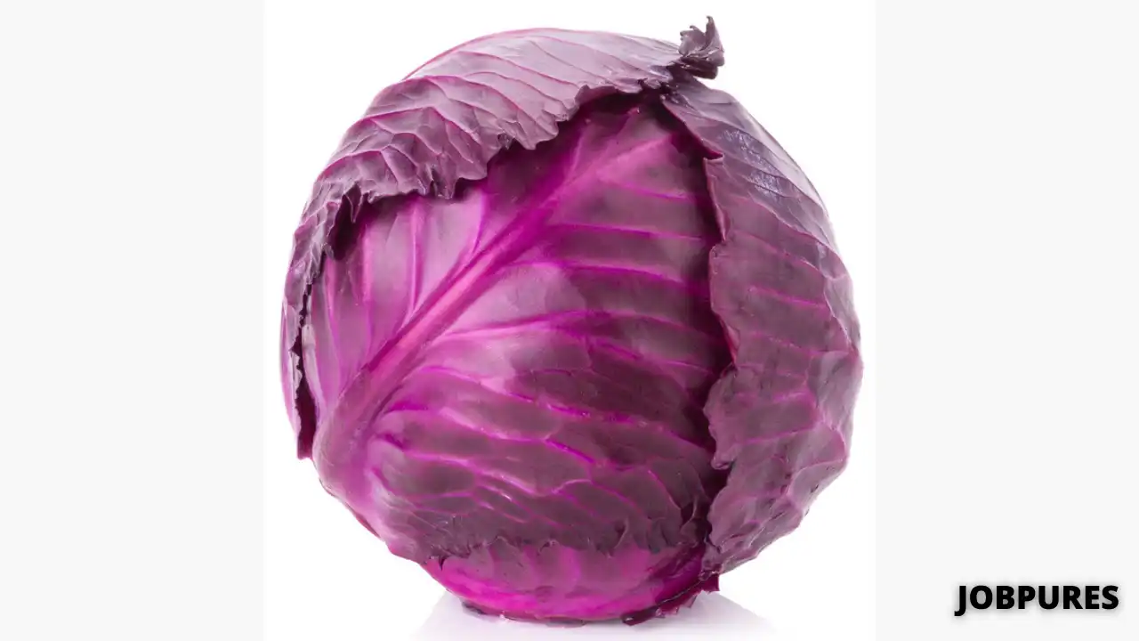 Red Cabbage Vegetable Name in Hindi and English