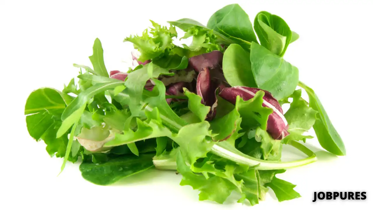 Romaine Leaf/Salad Green Leaves/Black Mustard Seed Vegetable Name in Hindi and English