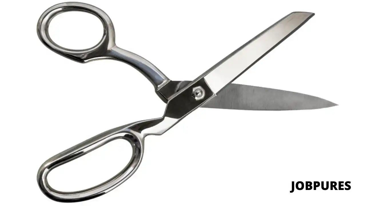 Scissor Kitchen Item Name in Hindi and English
