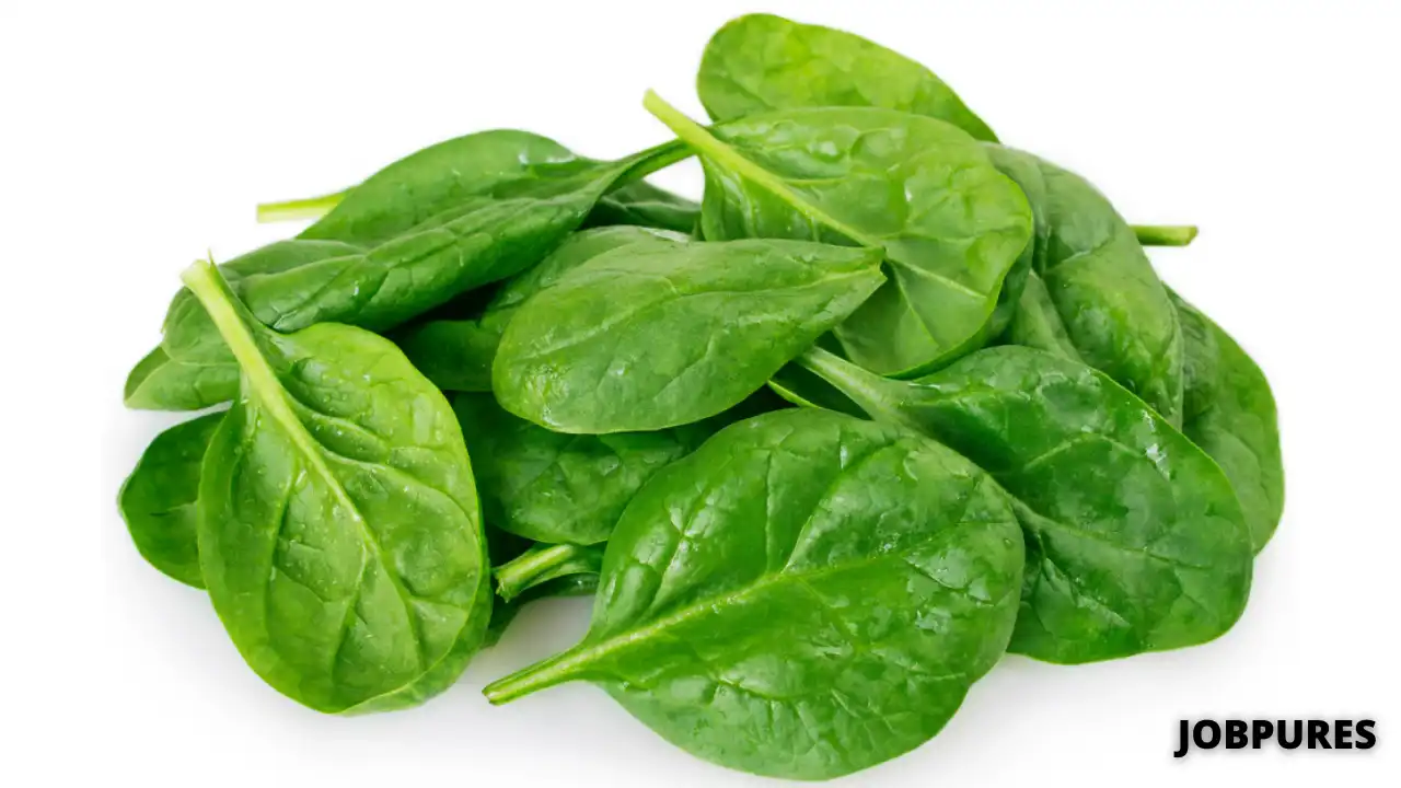 Spinach Vegetable Name in Hindi and English