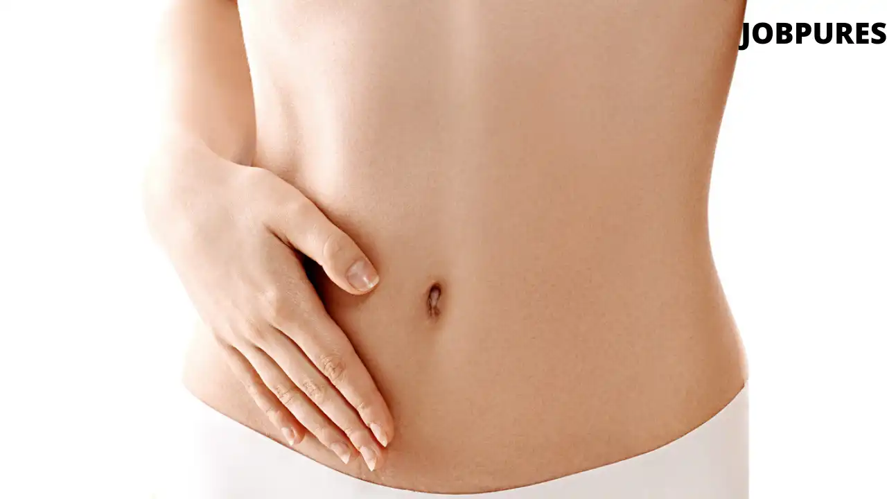 Stomach/Belly Human Body Part Name in Hindi and English
