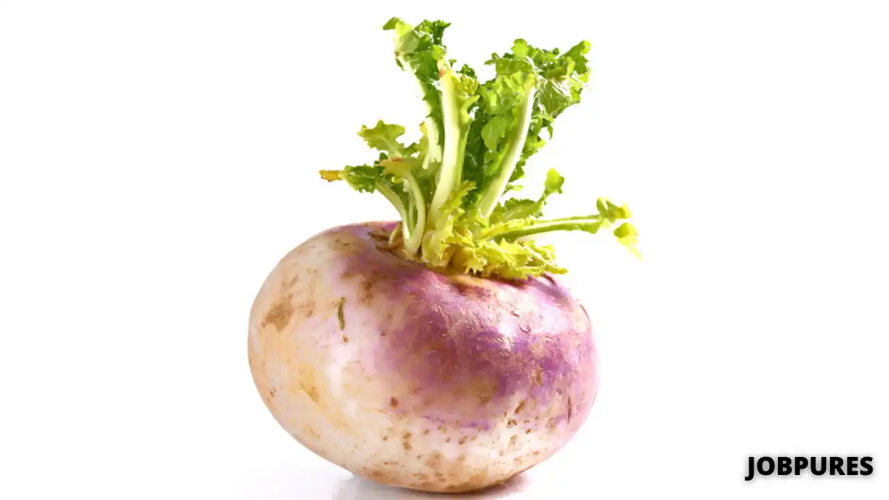 Turnips Vegetable Name in Hindi and English