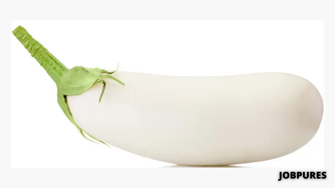 White Eggplant Vegetable Name in Hindi and English