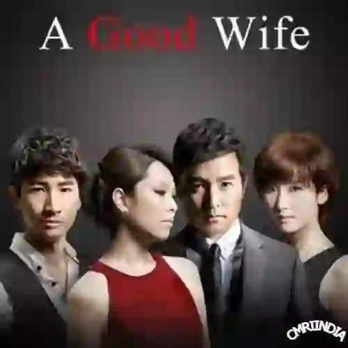 The Good Wife 2013