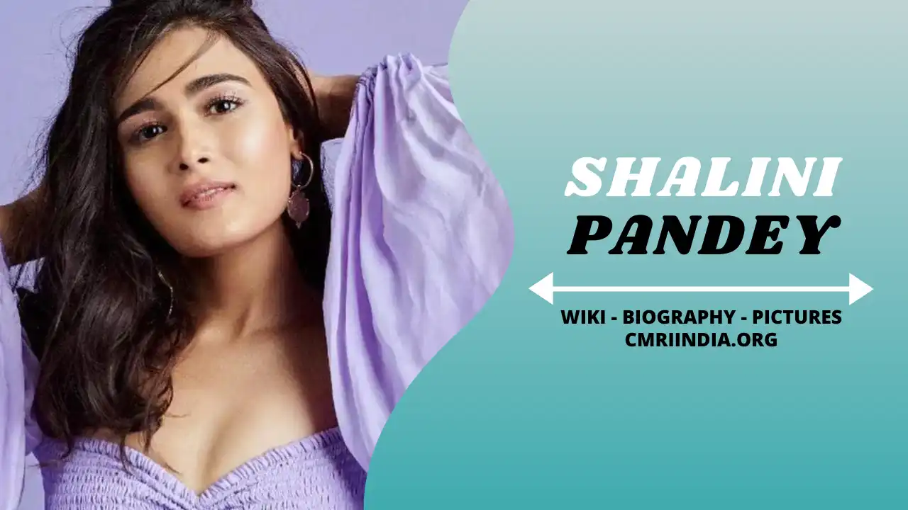 Shalini Pandey (Actress) Wiki & Biography